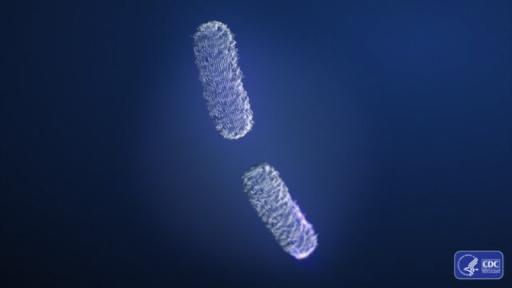 Download Graphic Animations Here