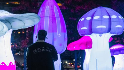 Shrooms by Amigo and Amigo at the united Baltimore Book Festival and Light City under the theme of Brilliant Baltimore, presented by Baltimore Office of Promotion & The Arts Nov. 1-10