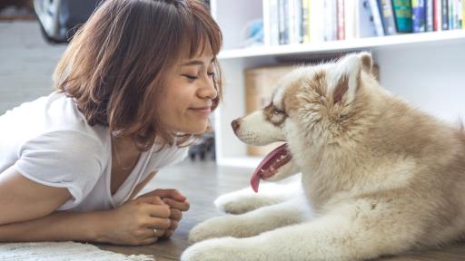 Girl smiling at dog