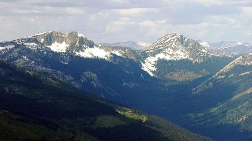 Maple Leaf Foods is investing in the Darkwoods Forest Carbon Project, consisting of 135,400 acres of unique land features and species near Creston, British Columbia.