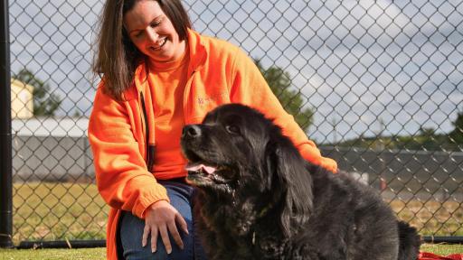 Pet friendly factory