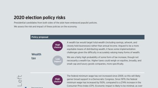 2020 election policy risks