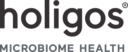Holigos Logo