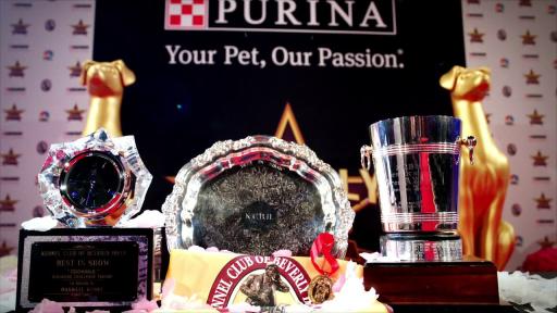 The Beverly Hills Dog Show Presented by Purina brings the stars of both Hollywood and the dog world together for an amazing family-friendly night while crowning one dog the 2020 ‘Best in Show’ champion.