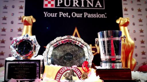 The Beverly Hills Dog Show Presented by Purina brings the stars of both Hollywood and the dog world together for an amazing family-friendly night while crowning one dog the 2020 &lsquo;Best in Show&rsquo; champion.