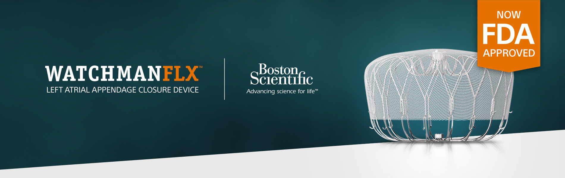 Boston Scientific Hero