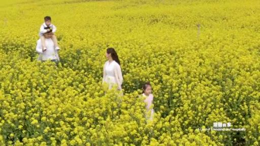 Play Video: This is Shandong: A Land of Friendship and Hospitality