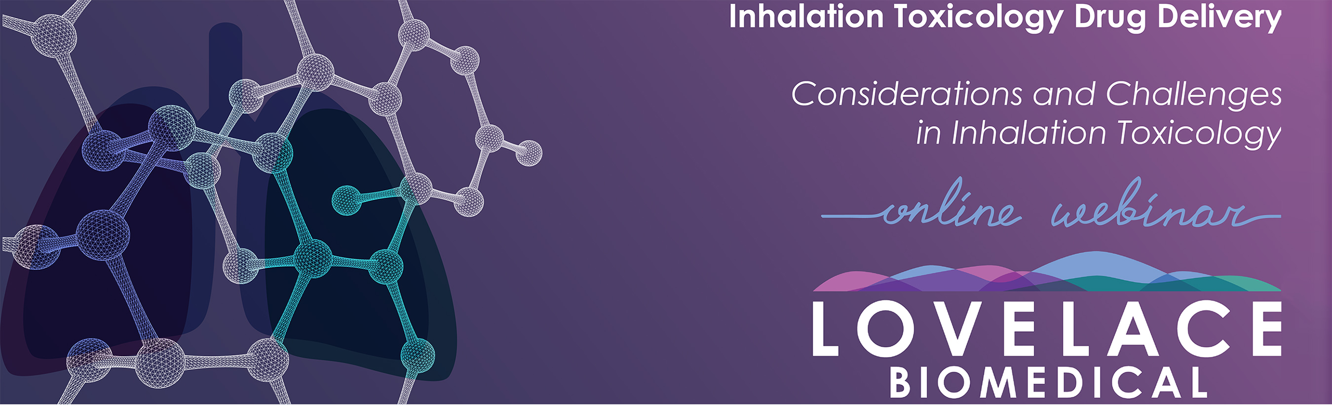 Inhalation Toxicology Drug Delivery