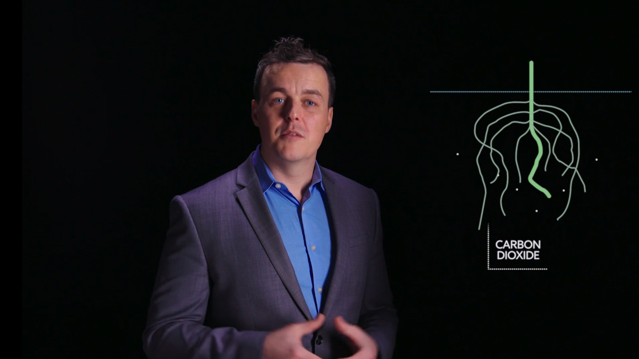 Play Video: Cotton Inc. Sustainability FAQs: Regenerative Farming