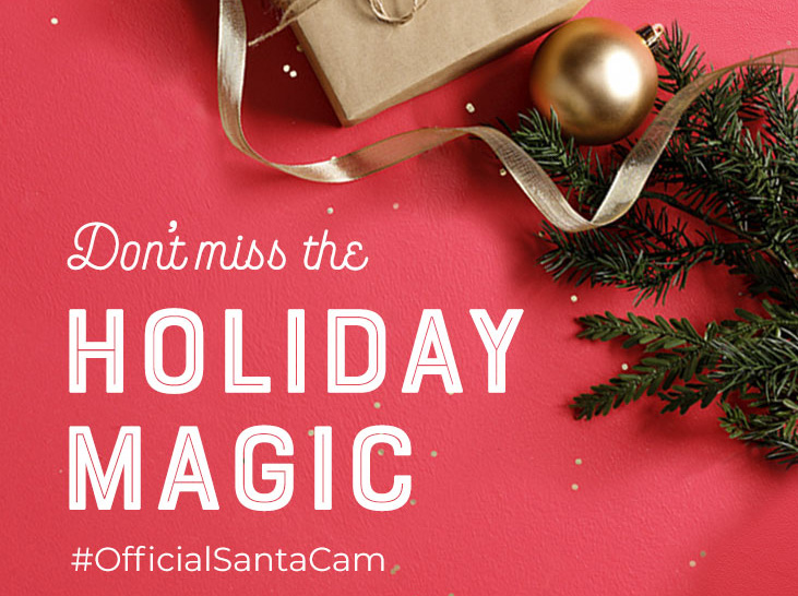 Holiday Magic Banner