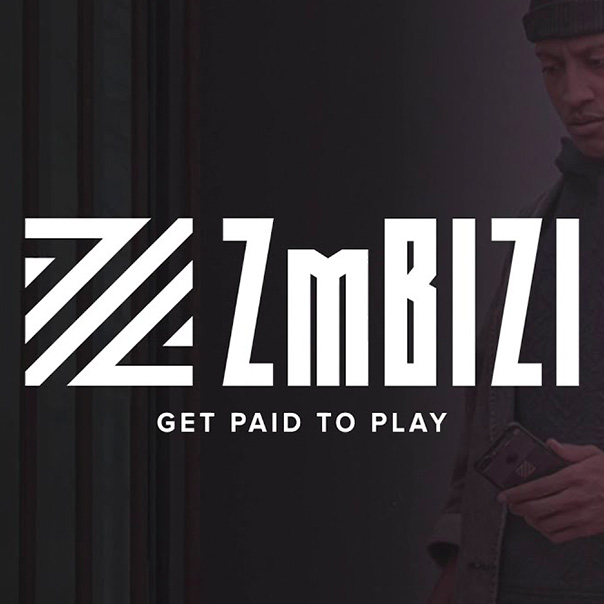 Introducing ZmBIZI