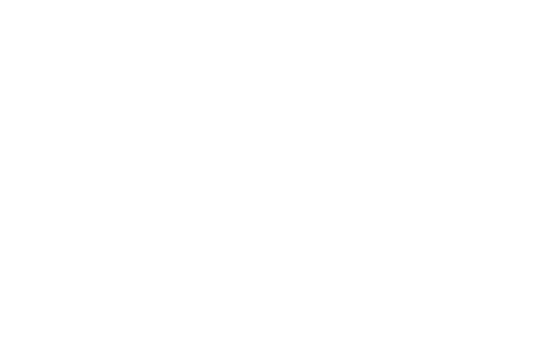 Silverton logo