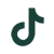 TikTok Icon