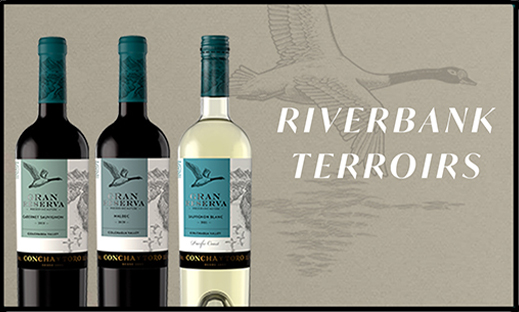 Where River and Vine Meet: Palo Santo Vineyard
