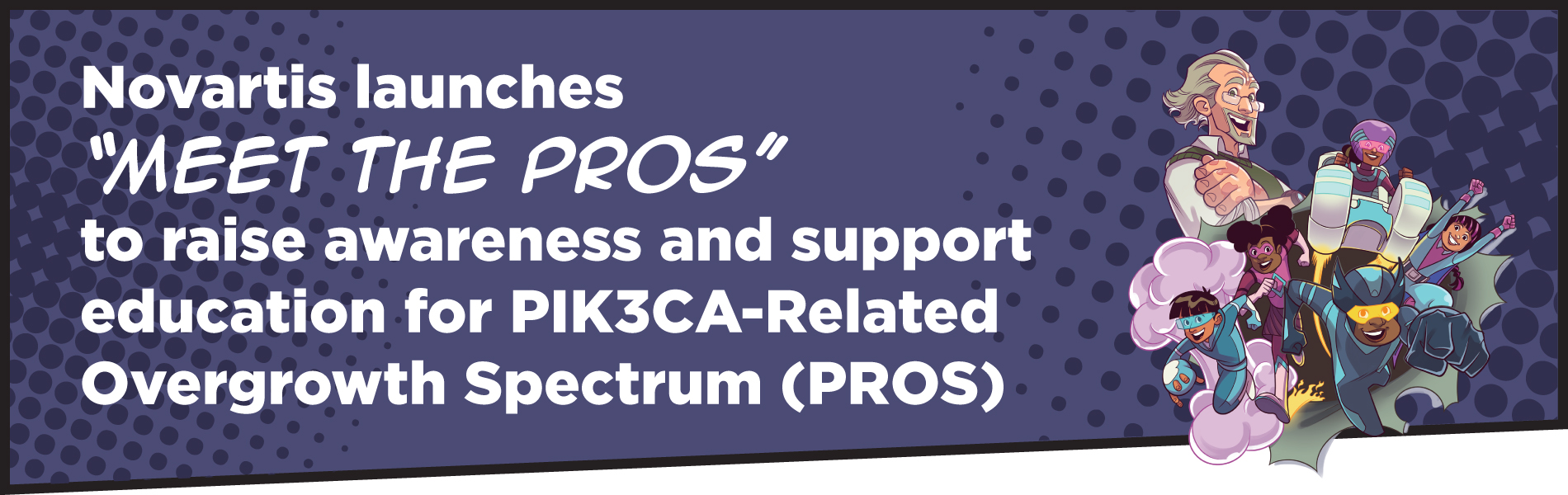 Hero Banner "Meet the Pros"