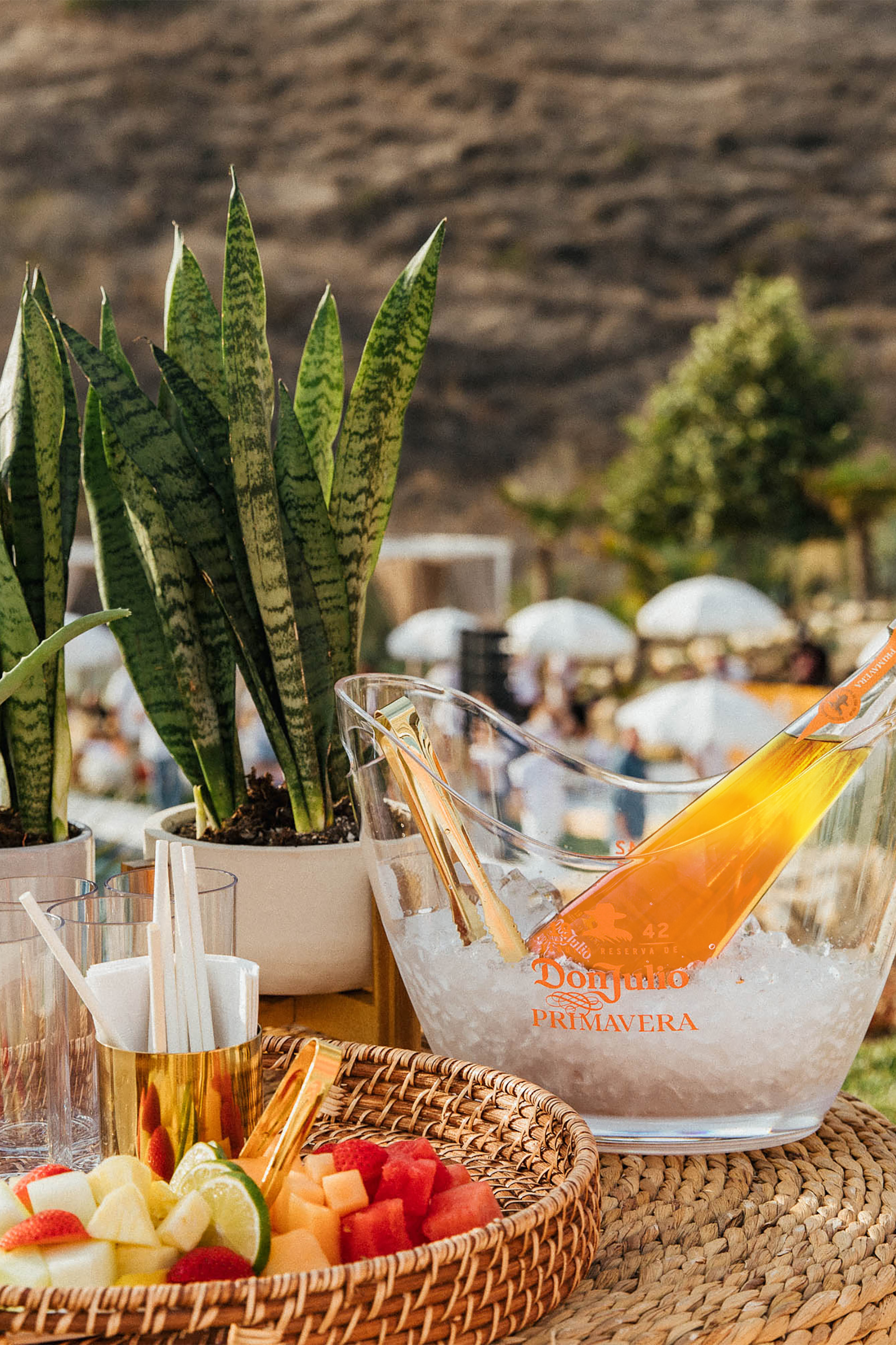 The new limited edition Tequila Don Julio Primavera is a deliciously smooth expression that takes the brand’s traditional Reposado and finishes it in orange wine casks.