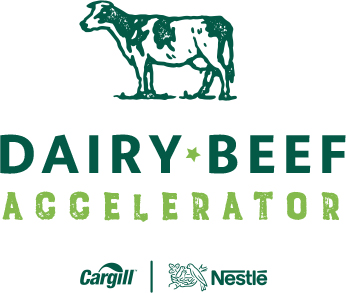 Diary Beef logo