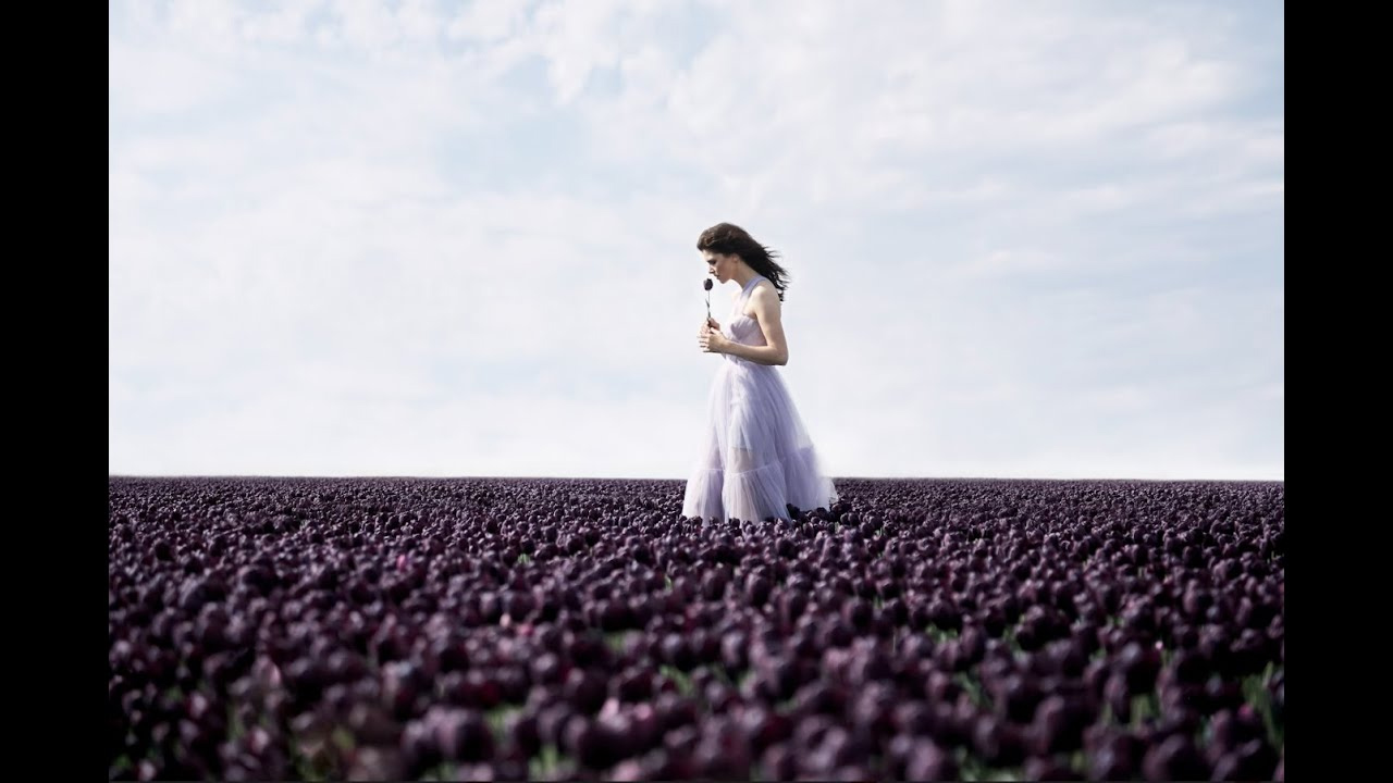 Play Video: Discover the science behind the Bloomeffects Black Tulip Collection