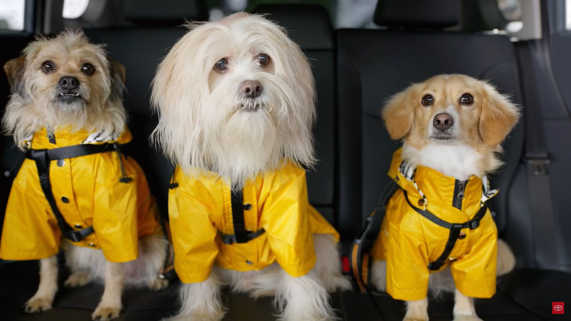 Toyota’s spot, “Picture Perfect,” is part of the 2022 Corolla Cross campaign.