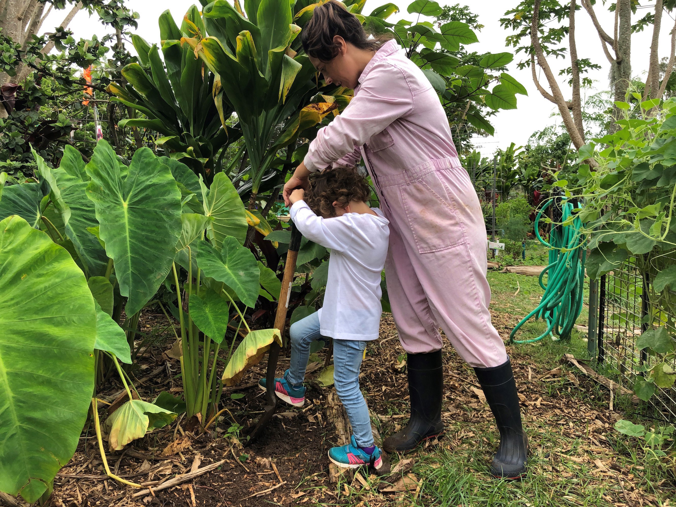 Chick-fil-A awards $300,000 to The Maui Farm for making an impact in its community by providing farm-based, family-centered programs that teach essential life skills for self-sufficient living.