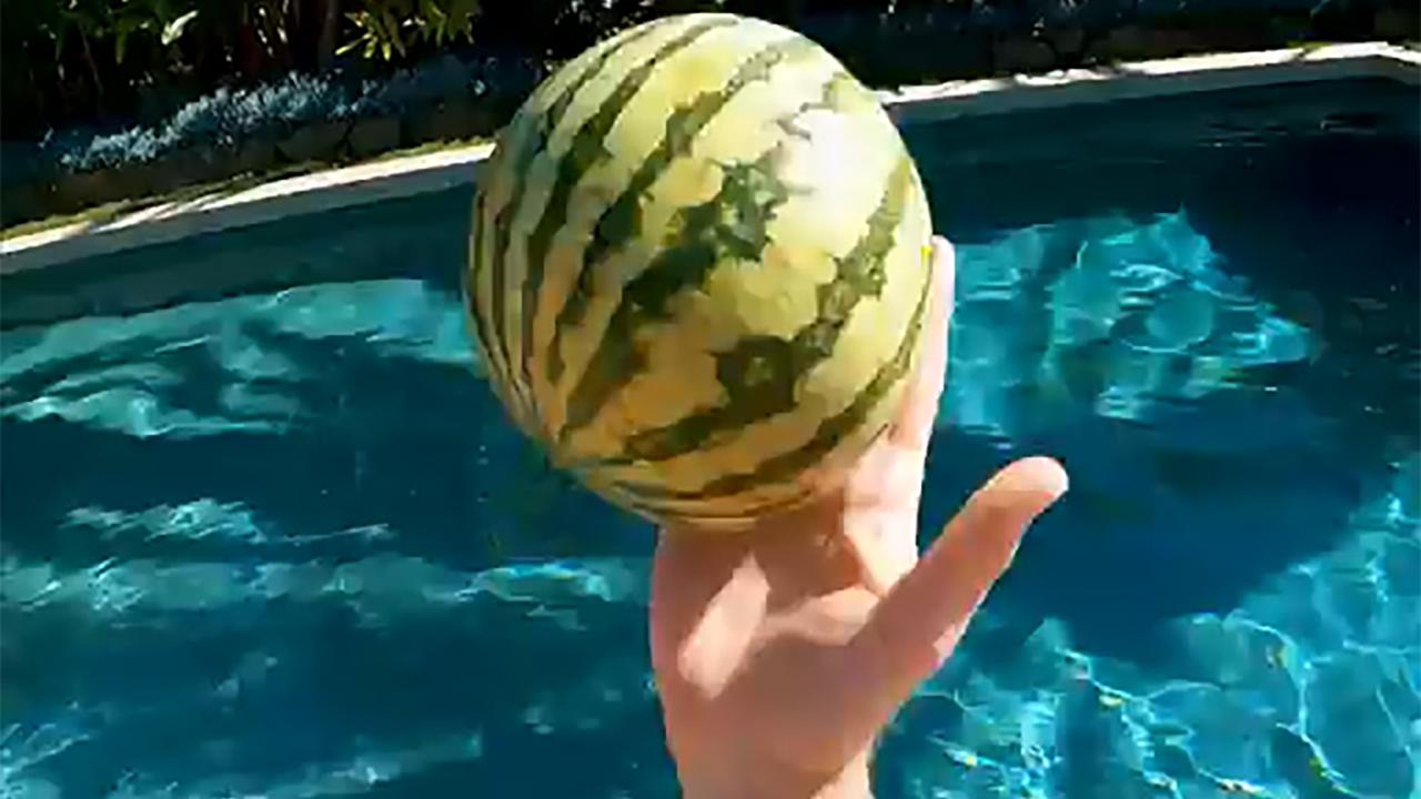 Play Video: Rehab Monster Watermelon