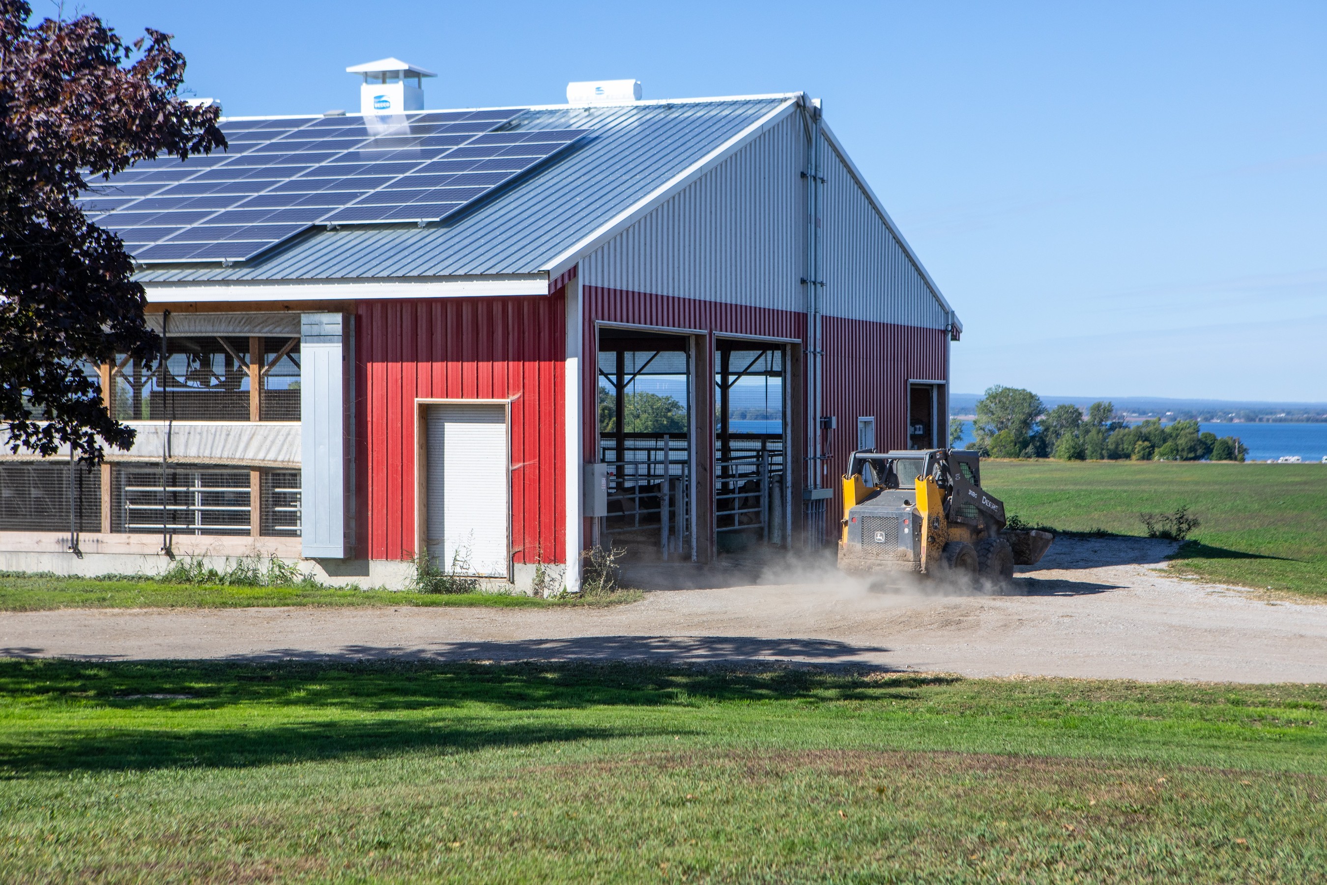 Sunset Lake Farm in Alburgh, VT is participating in Ben & Jerry’s Project Mootopia. The farm is reducing its energy costs and carbon footprint by using solar panels on the barn.  Photo: Ben & Jerry’s