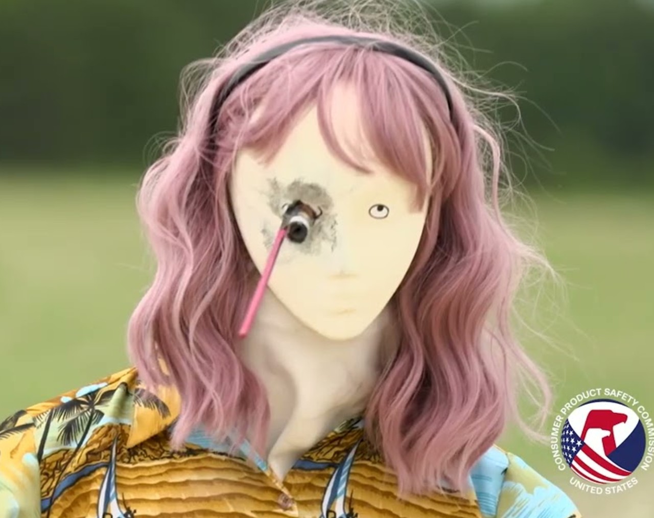 Don’t be a Dummy CPSC’s Public Service Announcement