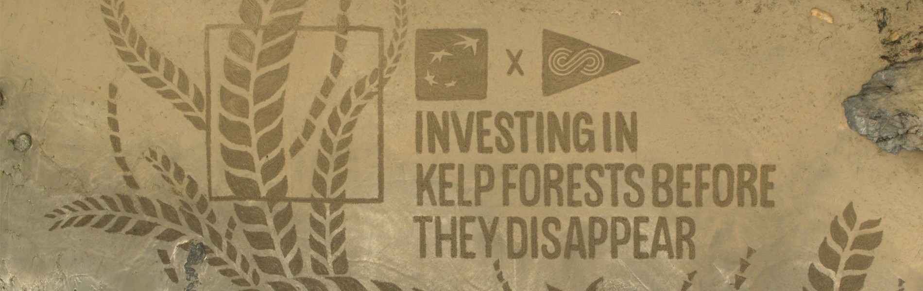 Bank of the West Hero