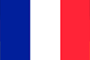 French flag icon