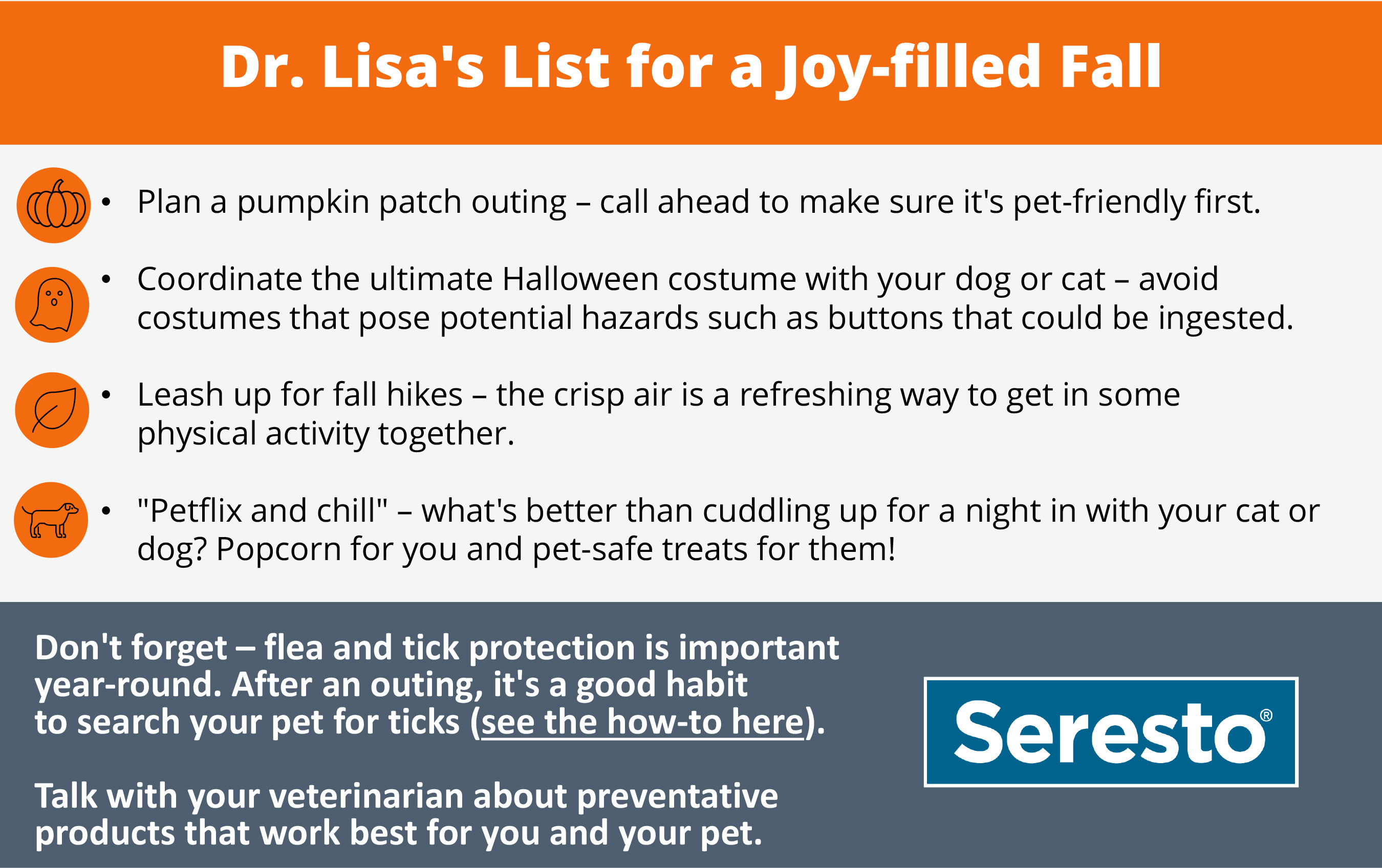 With protection in place, it’s time to enjoy the best of the fall season together with your cat or dog. Dr. Lippman shares her list for a joy-filled fall with your pet.