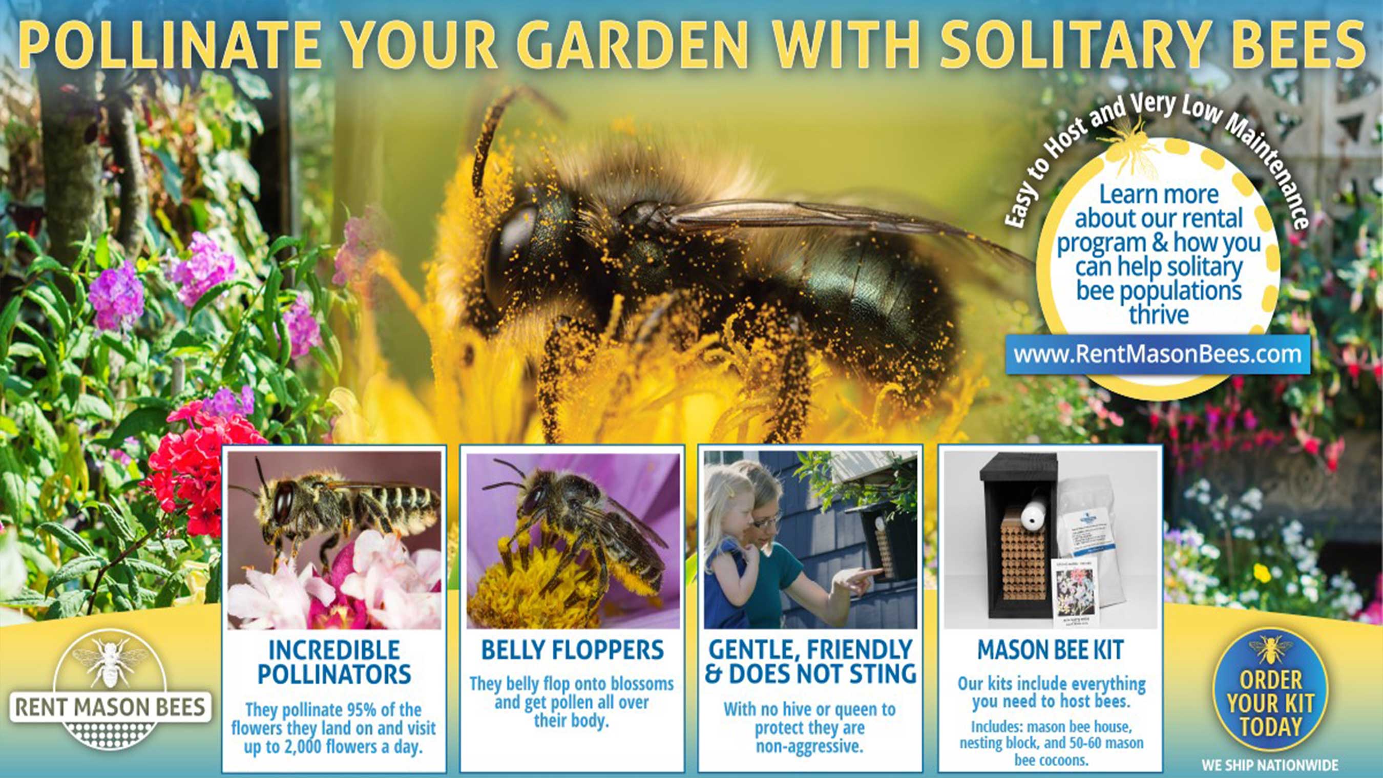Welcome Solitary Bees Into Your Garden!