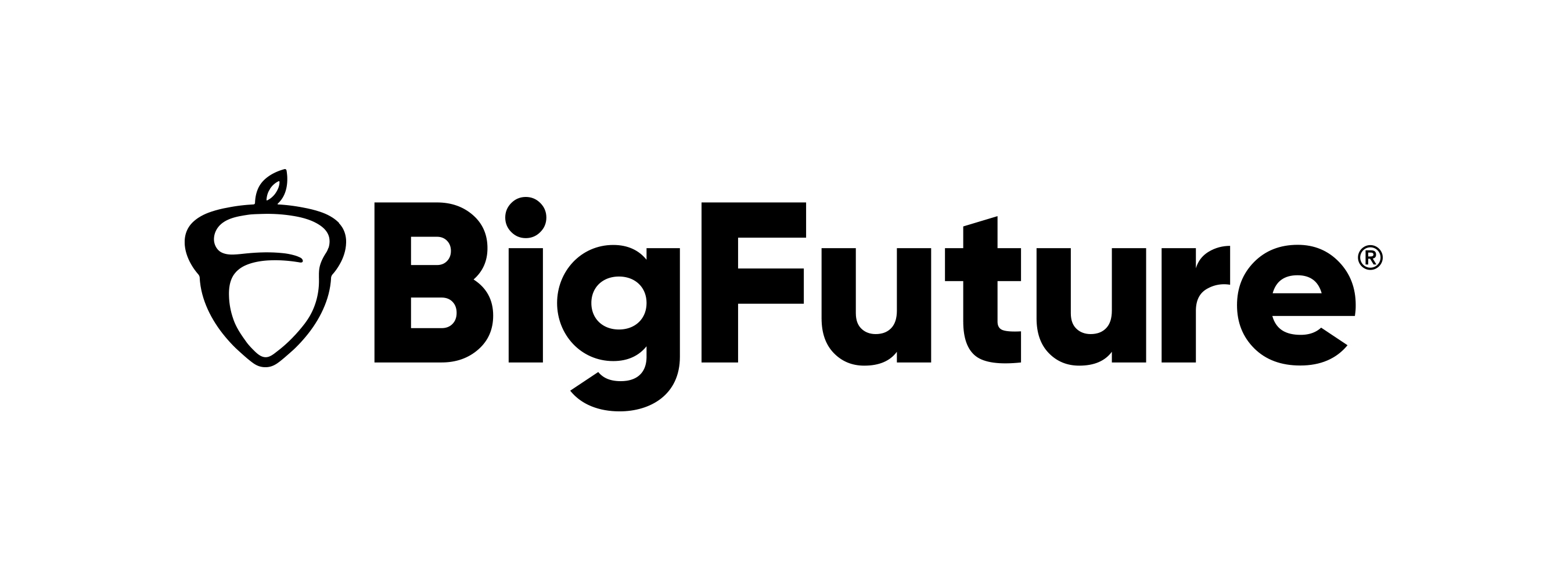 Big Future Logo