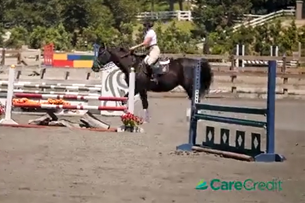 Play Video: When Cindy learned that her horse would need surgery, she turned to CareCredit to help pay for his care. CareCredit is currently offered in more than 1,000 equine practice locations across the U.S.