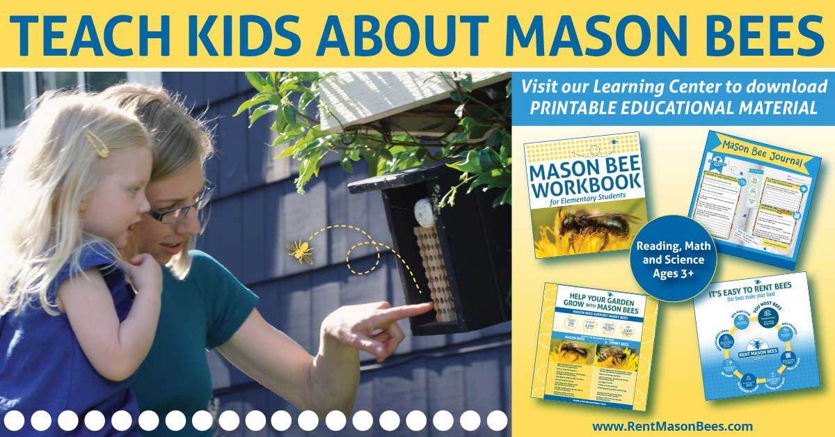 WE OFFER FREE WORKBOOKS AND WORKSHEETS TO TEACH KIDS ABOUT BEES!