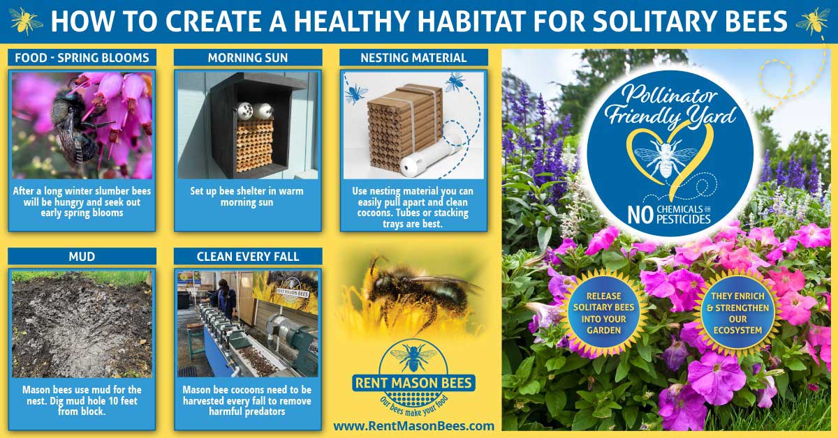 IMPORTANT STEPS TO HEALTHY BEES