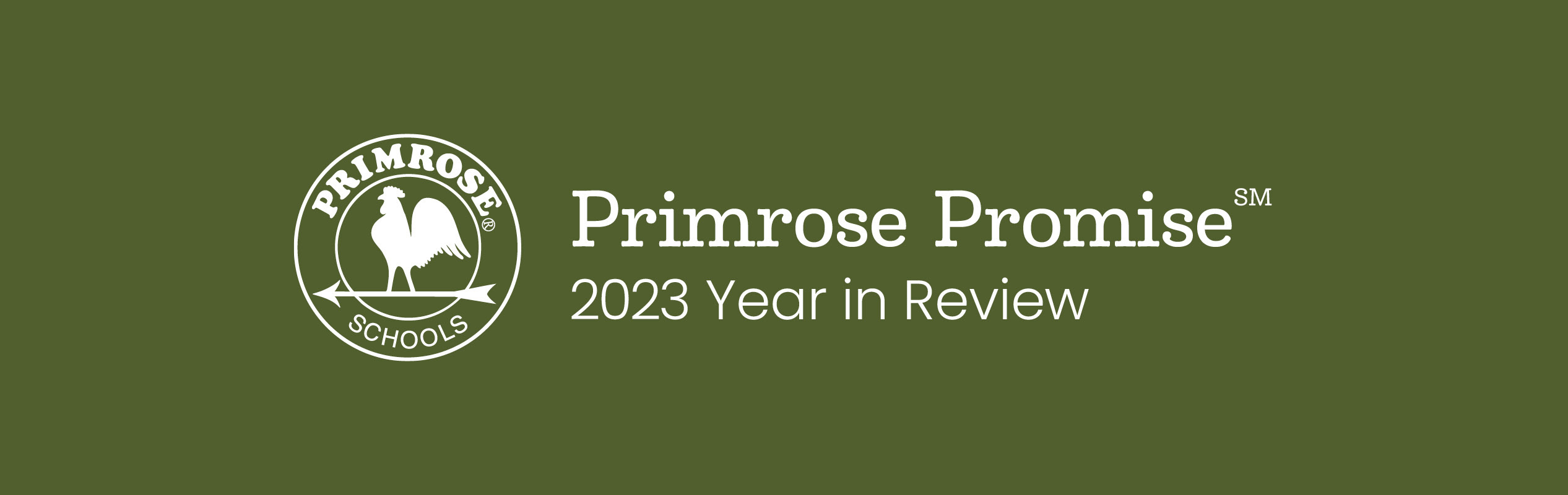 Primrose 2023 year in review