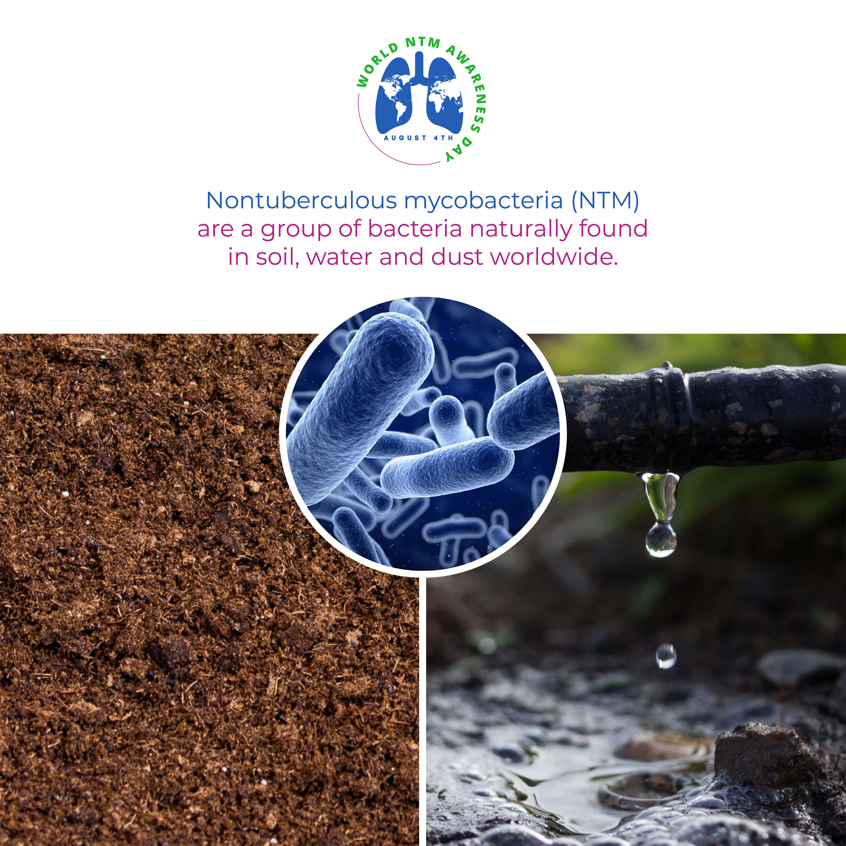 Join us in raising awareness about nontuberculous mycobacterial (NTM) infections and the impact they have on individuals worldwide. Did you know NTM organisms are in the environment, including water & soil? Together, let's work towards early detection, improved treatment options, and better support for those affected. Visit https://worldntmday.org for more info on NTM lung disease #NTMAwareness #NTMAwareness #FightNTM #worldntmday