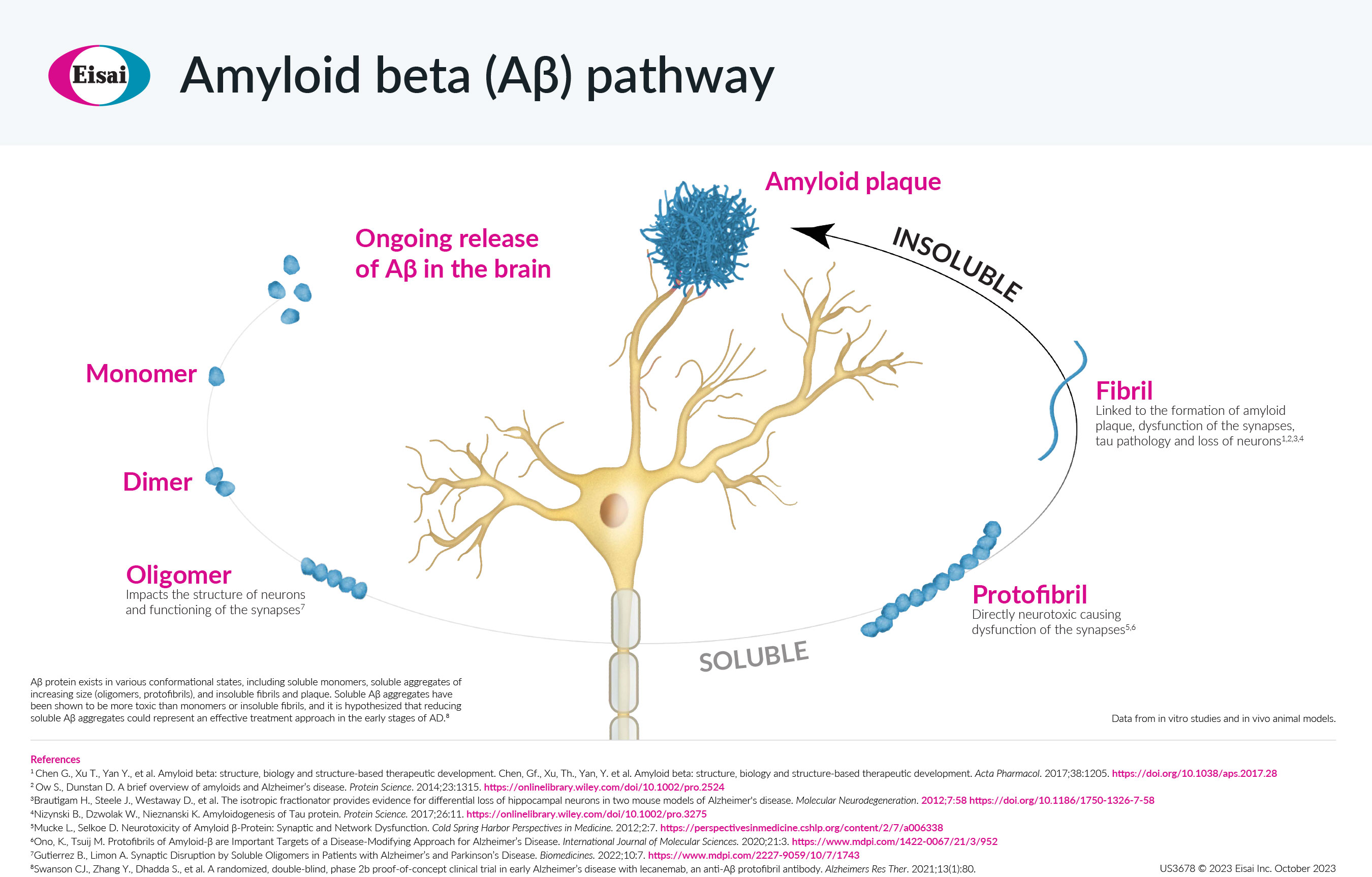 Amyloid Beta Pathway visual