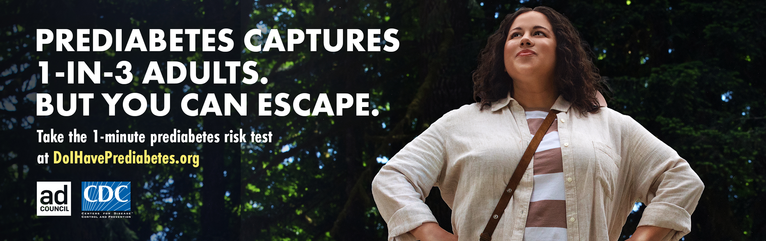 Prediabetes risk banner graphic