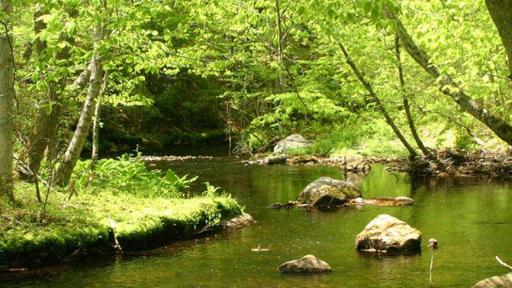 Eightmile Wild & Scenic River Watershed | Photo Credit: Eightmile Wild & Scenic River Watershed