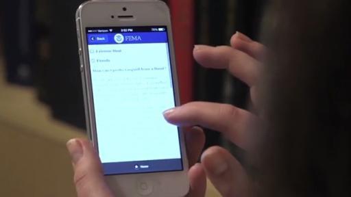 Interviews and B-roll  