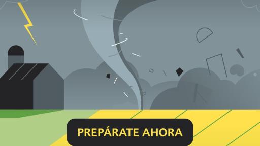Web Banner &ndash; tornados