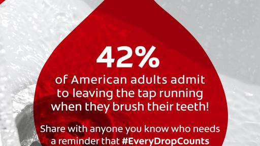 42% - Ahorro personal