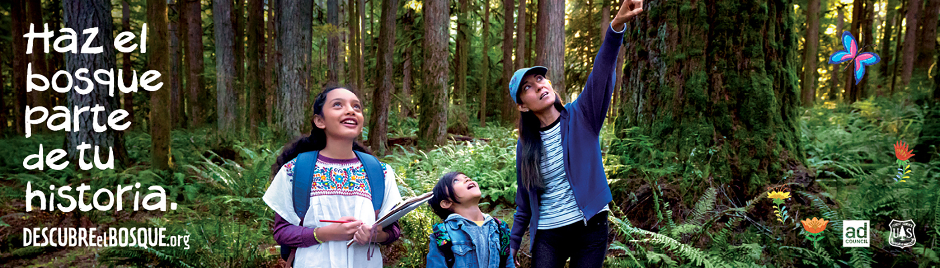 People walking on a forest trail