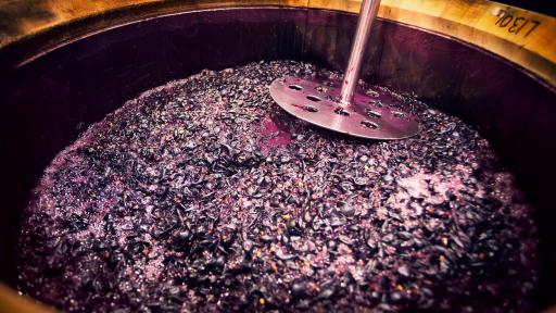 Winemaking