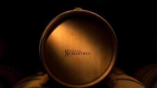 Bodega Numanthia barrel