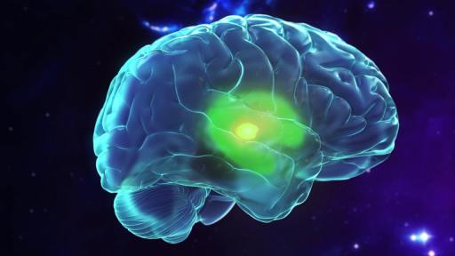 Video of no music role of the brain