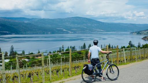 Un homme se tient pr&egrave;s de son v&eacute;lo donnant sur un vignoble et un lac.