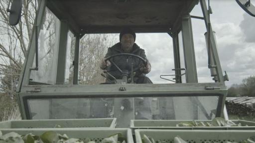 Le psoriasis ne se limite pas à ma peau : Travailler la terre