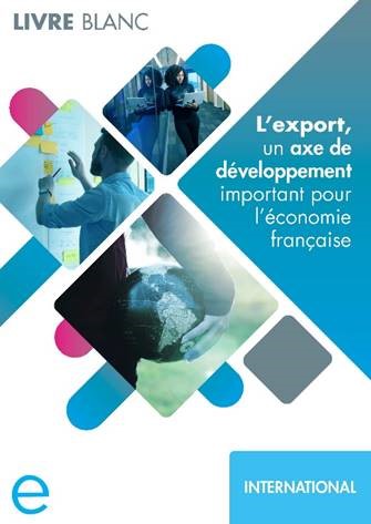 Livre_Blanc-Ellisphere-International-couverture